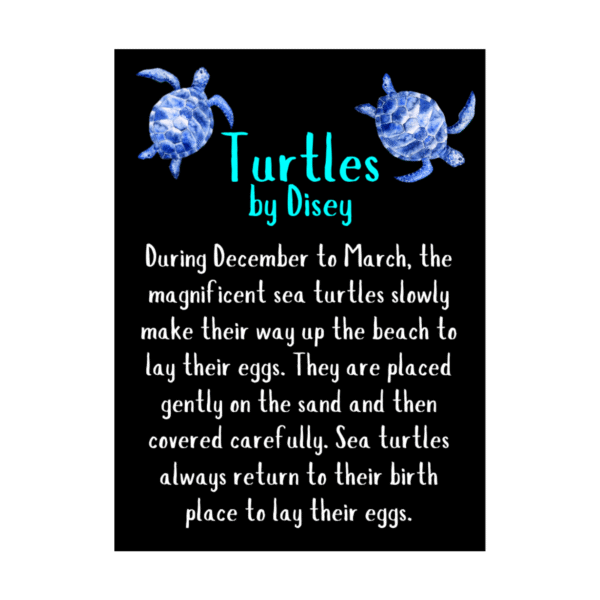 Turtle Necklace - Orange - by Disey - Image 2