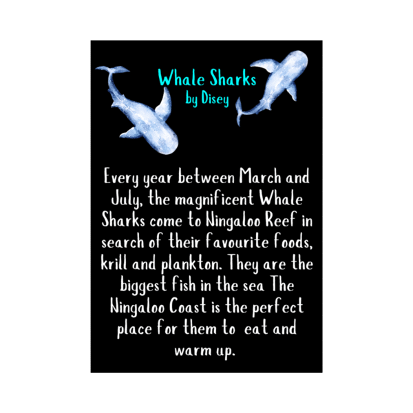 Whale Shark Necklace - Light - by Disey - Image 2